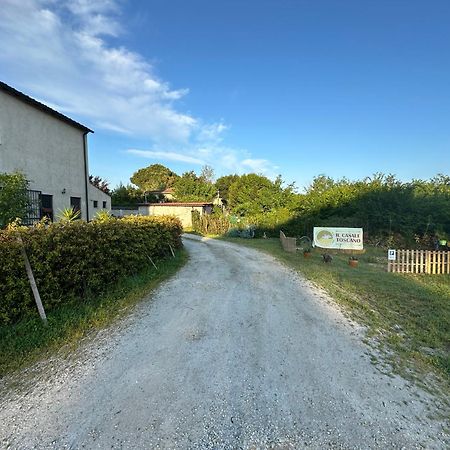 - Il Casale Toscano - 1900Mt From Leaning Tower - No Breakfast - Free Parking Pisa Bagian luar foto