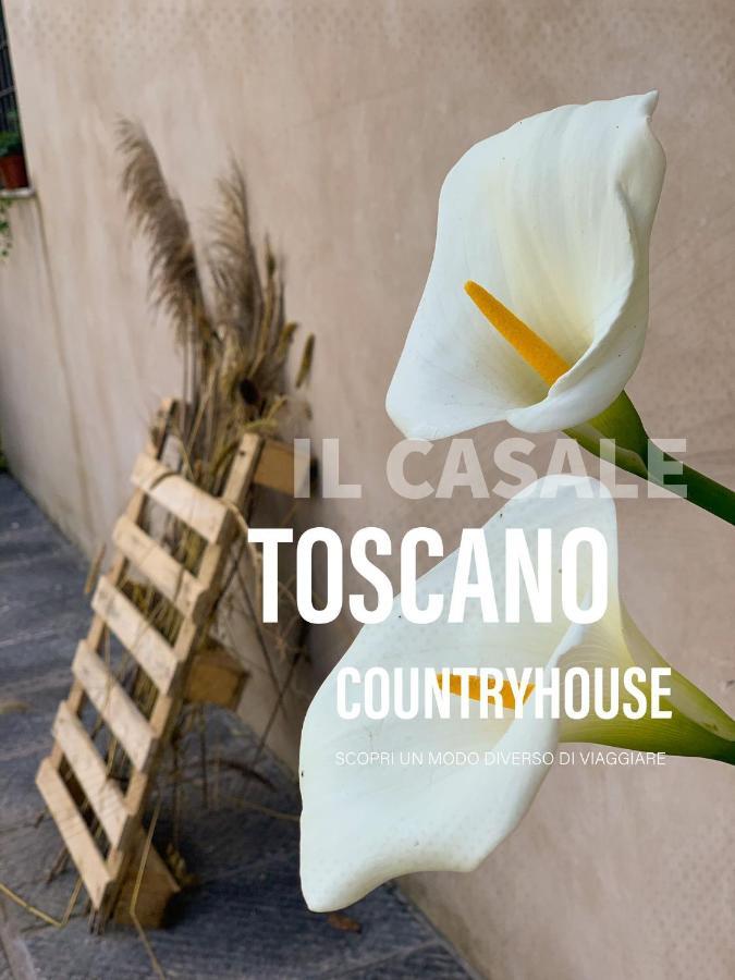 - Il Casale Toscano - 1900Mt From Leaning Tower - No Breakfast - Free Parking Pisa Bagian luar foto